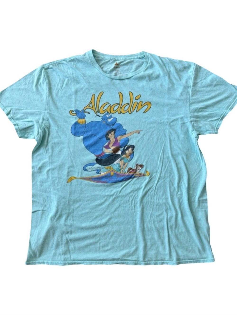 Disney Aladdin Graphic Aqua Tee T-shirt Cover Up Soft Swim Top Women's L